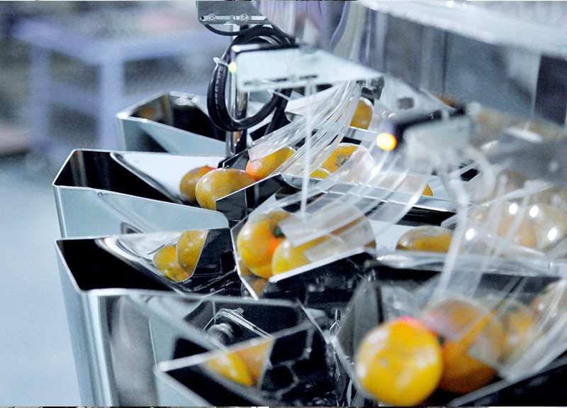La stabilité machine d'emballage alimentaire de la chine avec haute qualité pour poisson épicé-4
