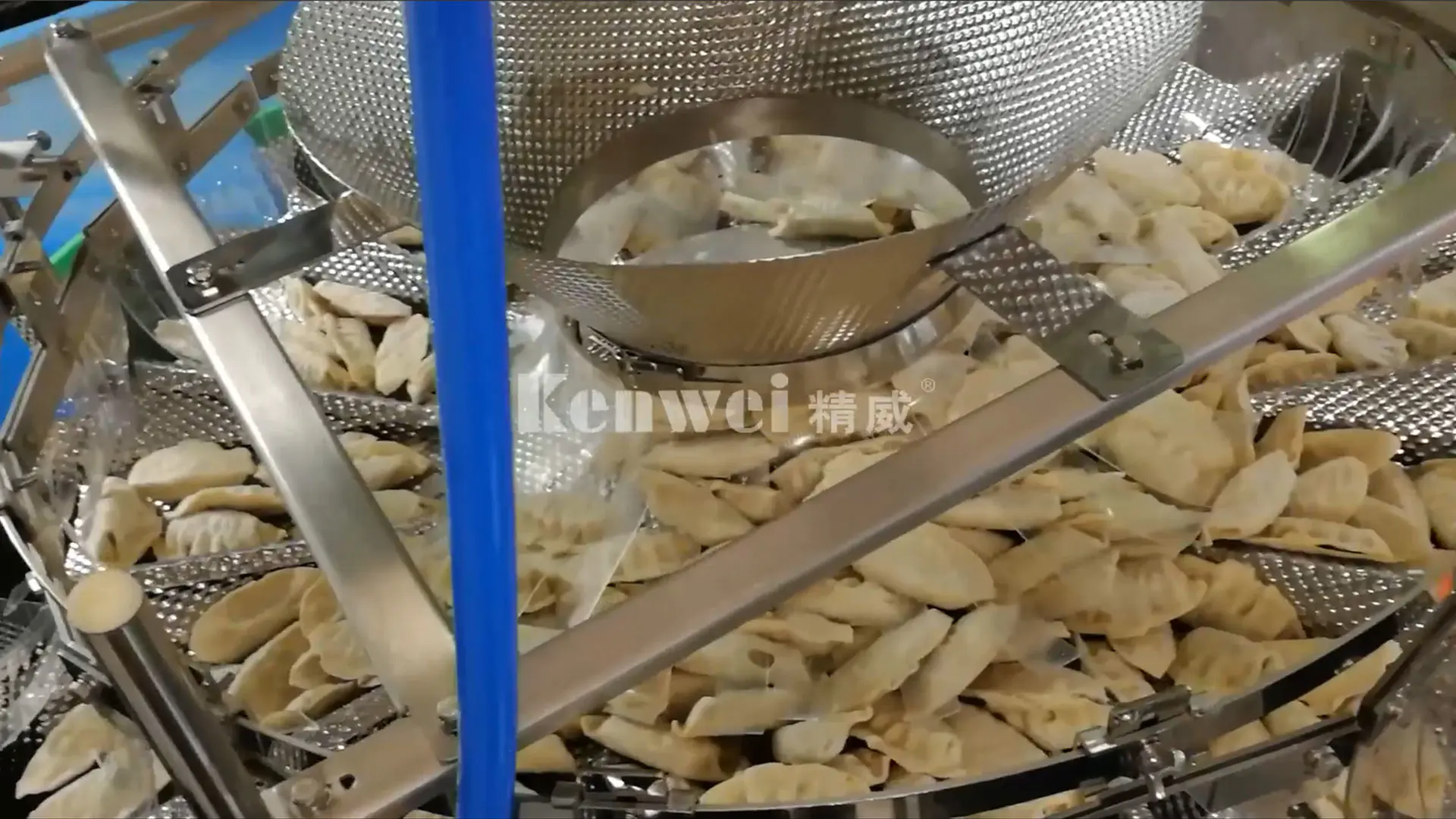 Kenwei door services provide customers with automated dumpling packaging system