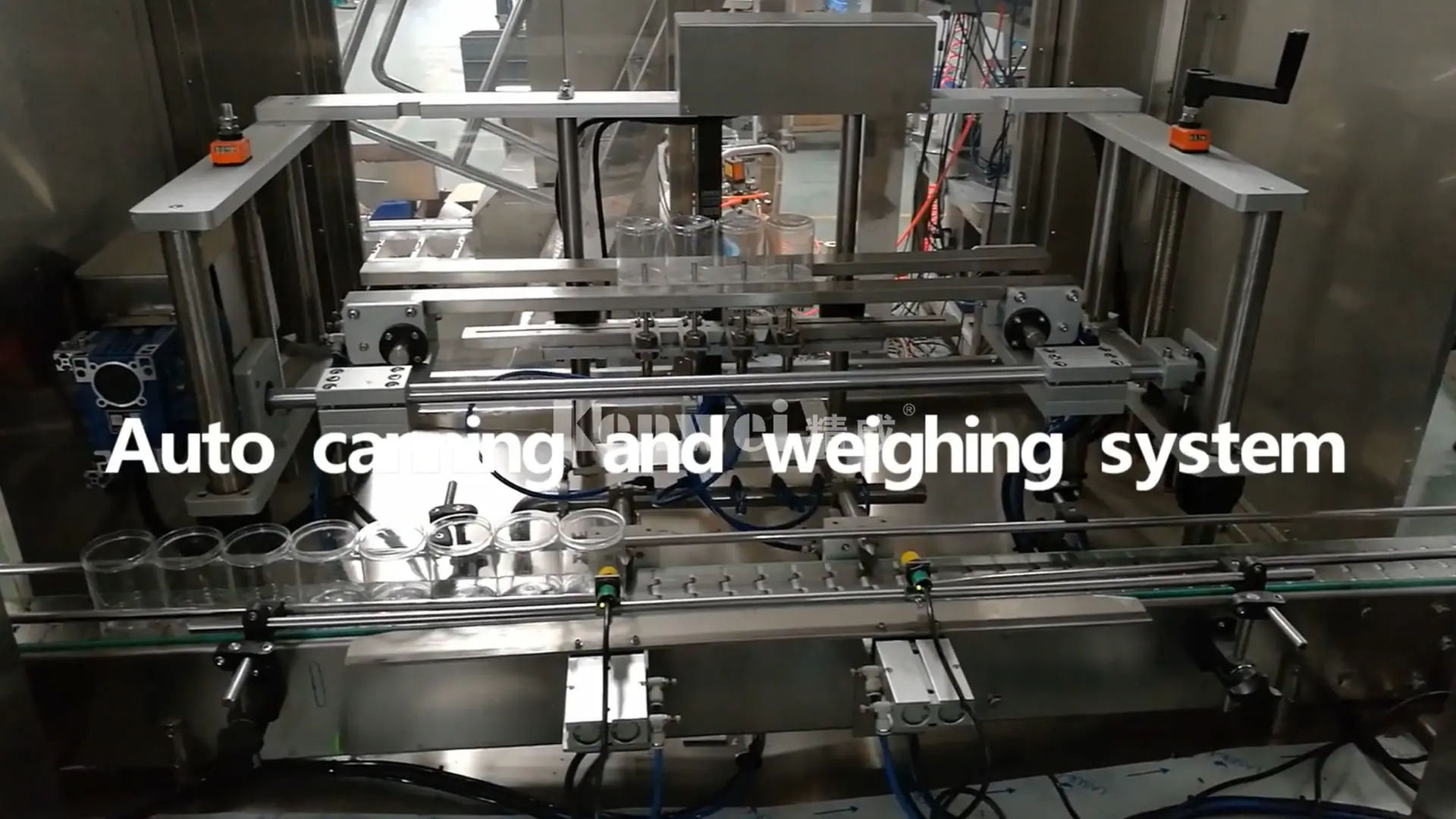 Auto canning and weighing system
