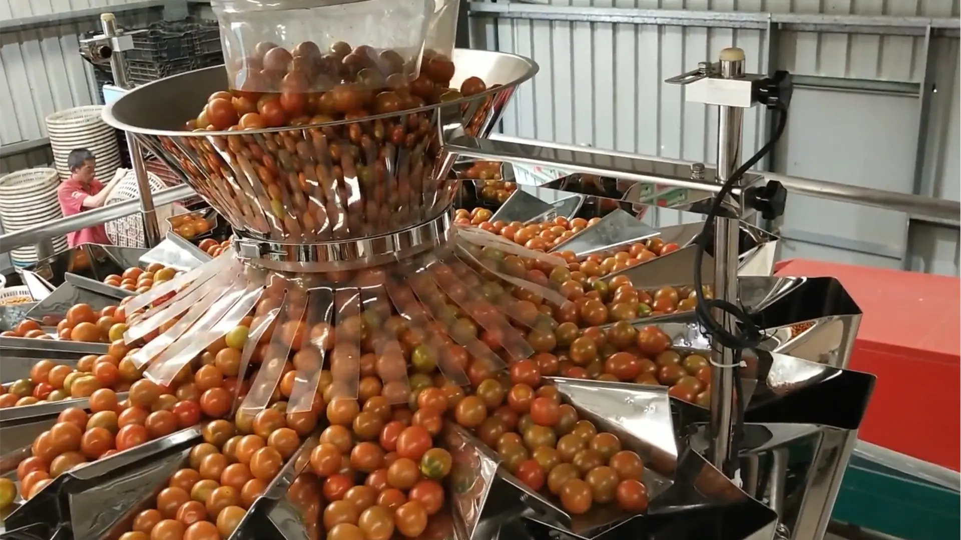 Automatic box packaging machine for tomatoes