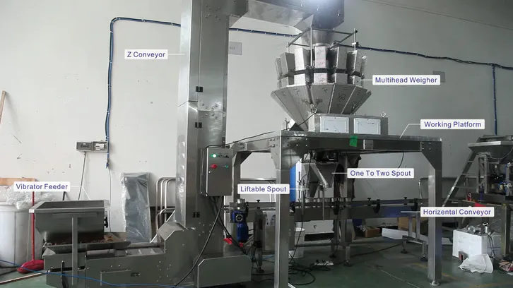 Máquina de embalagem de peixe seco com pesagem automática JW-B24