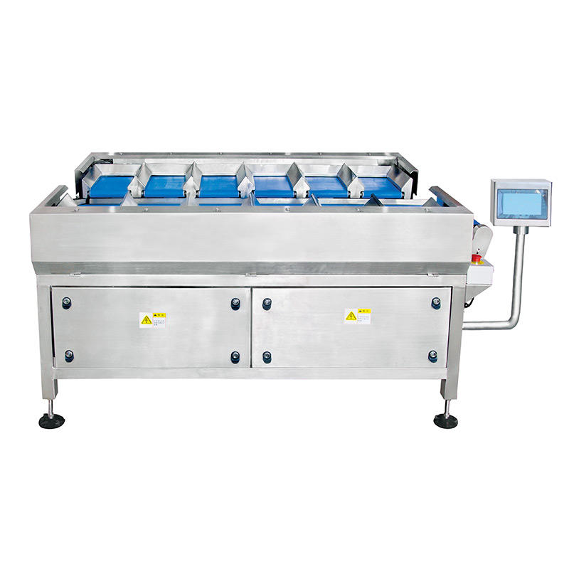 12 Head Manual Belt Multihead Weigher for Weighing Large Block