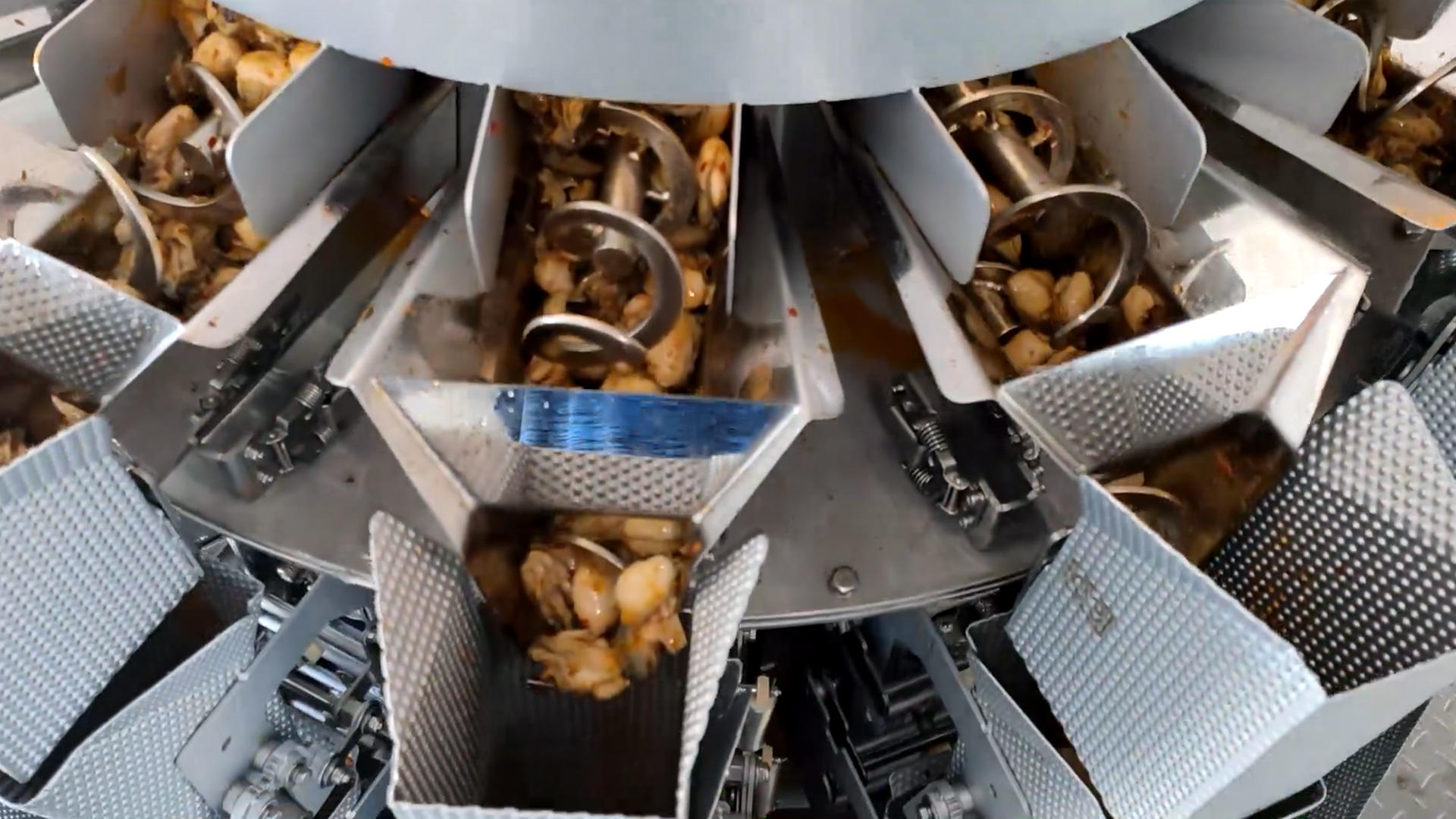 Système d'emballage de peseuse multi-têtes d'alimentation à deux couches pour le remplissage des huîtres