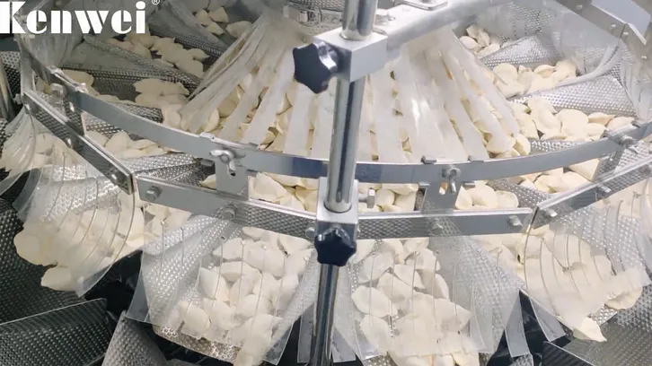 Machine d'emballage entièrement automatique pour aliments surgelés