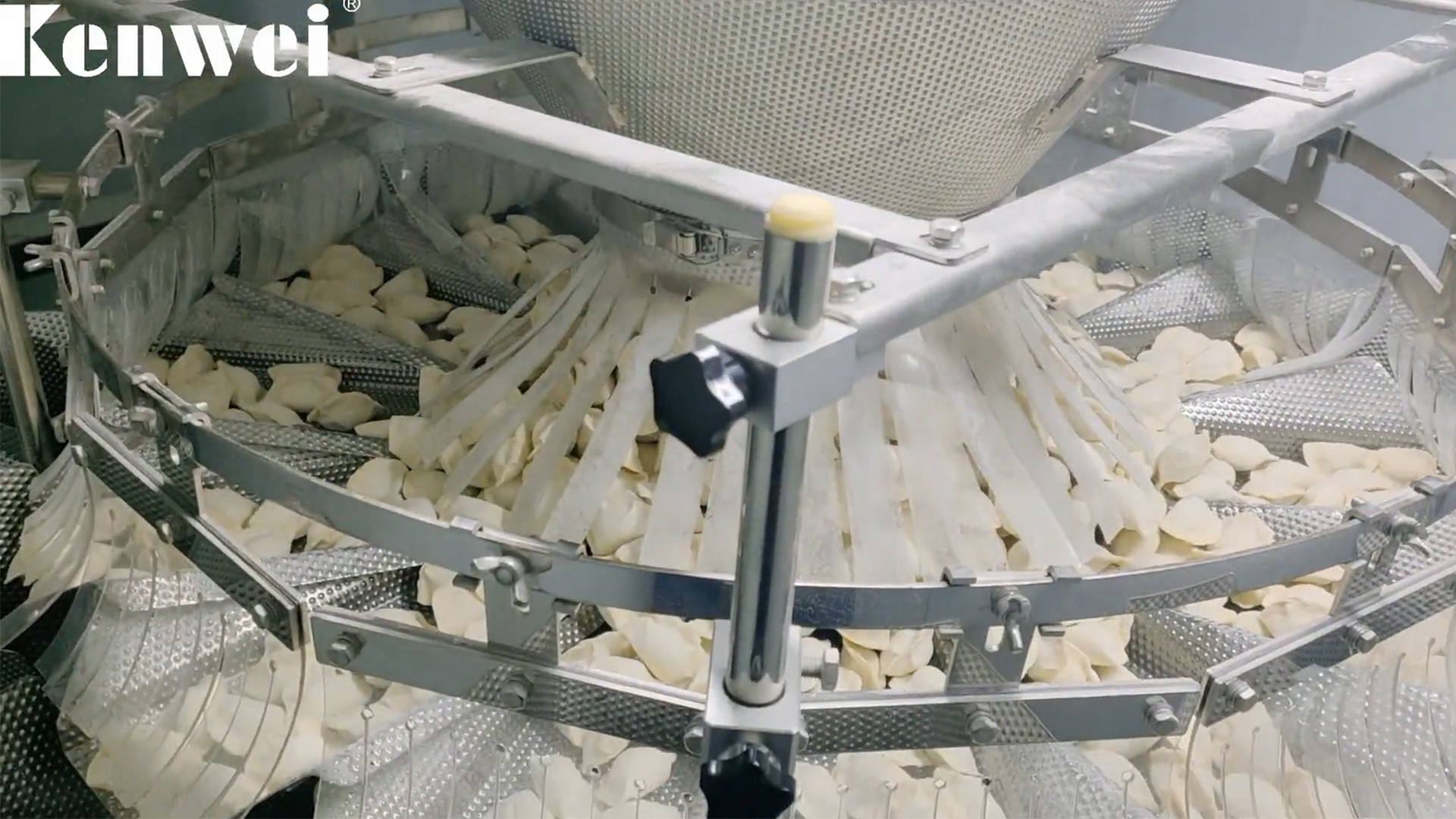 Machine d'emballage de peseur multi-tête automatique pour boulettes surgelées