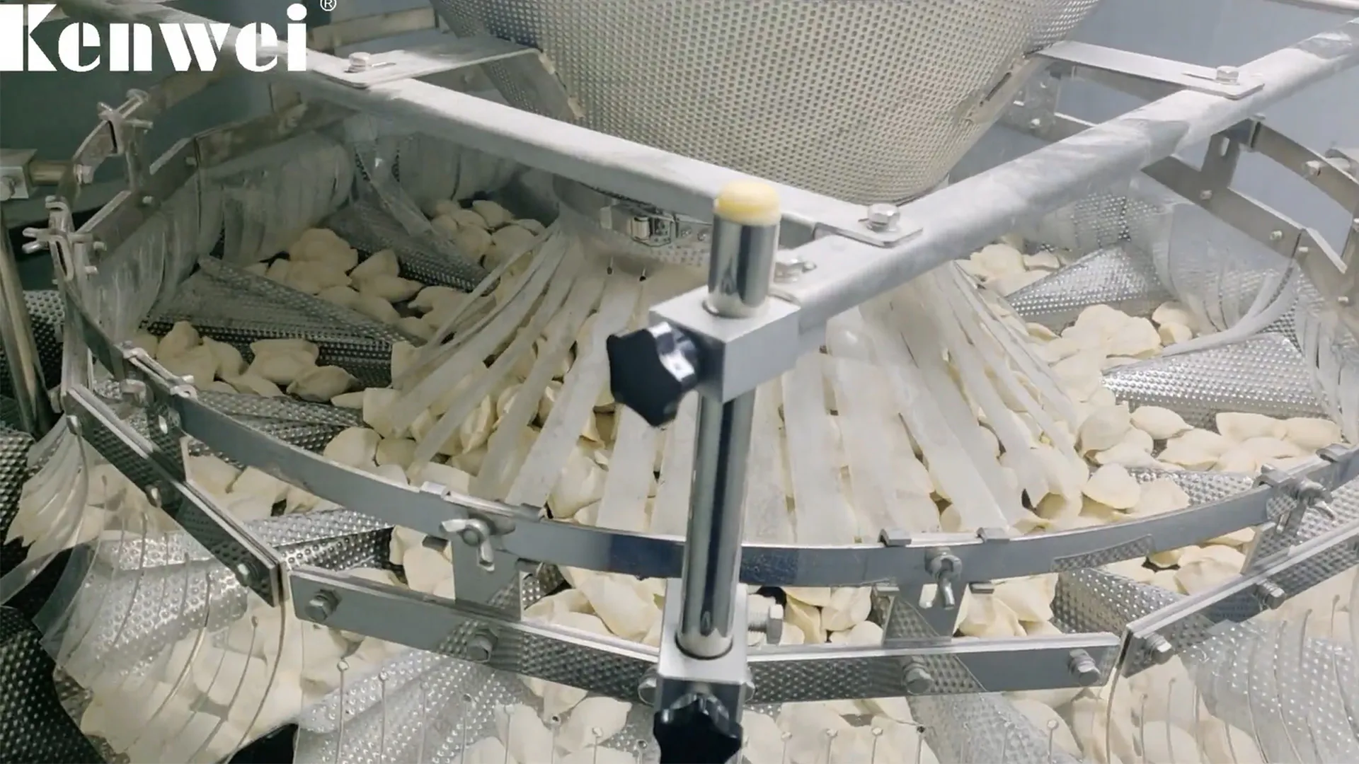 Machine d'emballage de peseur multi-tête automatique pour boulettes congelées