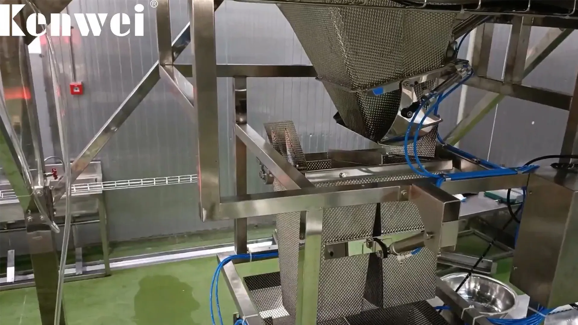 Machine d'emballage de peseur multi-tête pour peser les poissons de frire