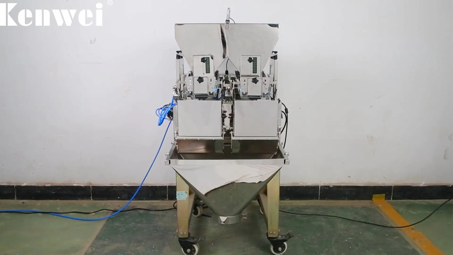 Système automatique de pesage linéaire à deux têtes en acier inoxydable 20g - 3000 g - (Modèle - JW-AX2) par Kenwei
