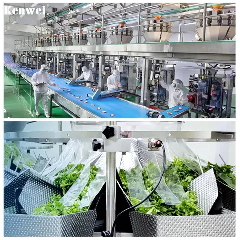 The Development Trend of Weighing and Packaging Industry