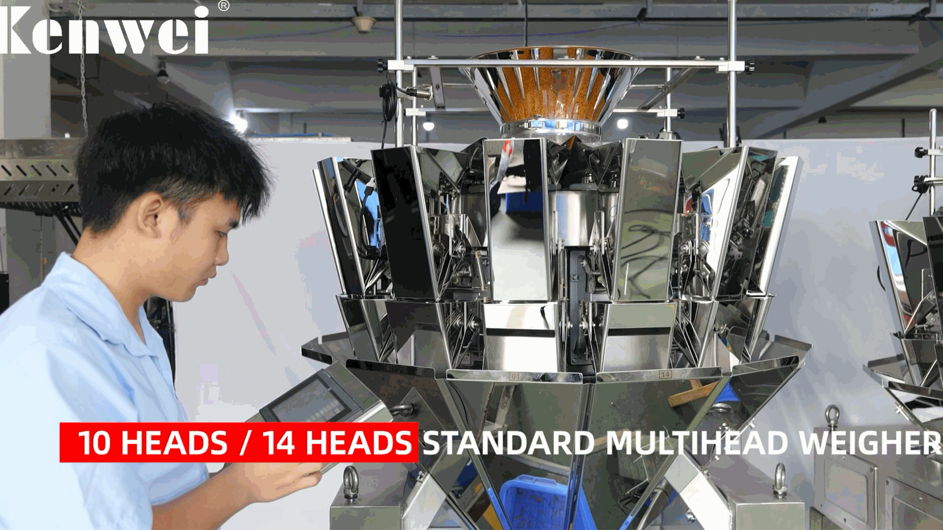10 Heads / 14 Heads Standard Multihead weigher