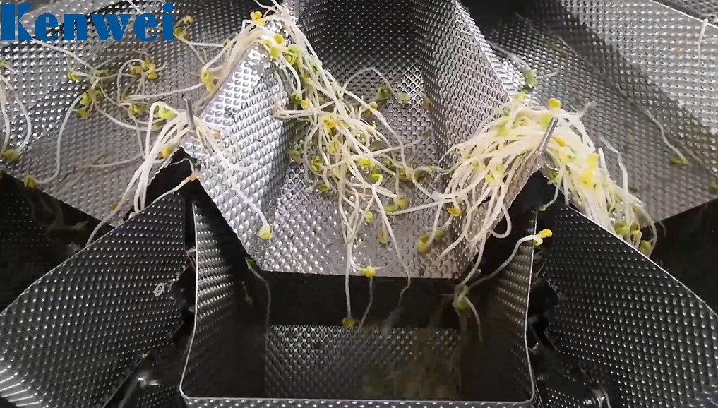 Bean sprouts vertical weighing and packaging system
