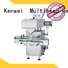 energy-saving double channel pill counter machine electronic customized Kenwei company