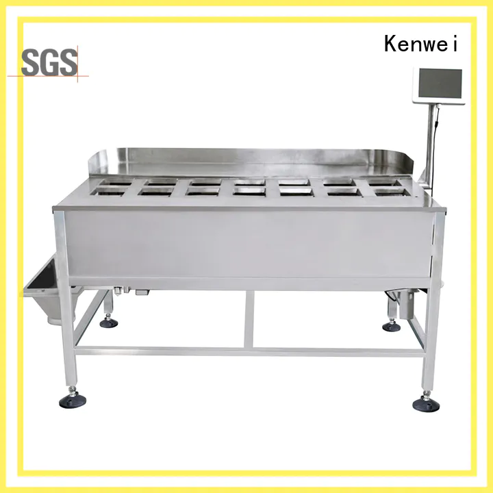 Kenwei Brand feeding control steel custom weighing instruments