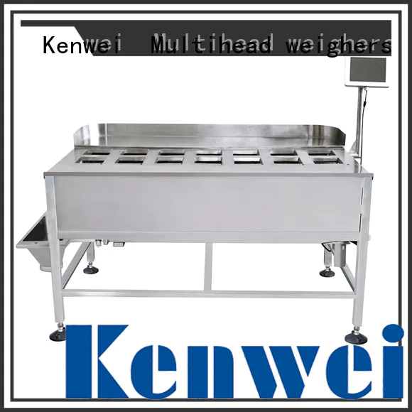 weighing instruments cheese weight checker Kenwei Brand