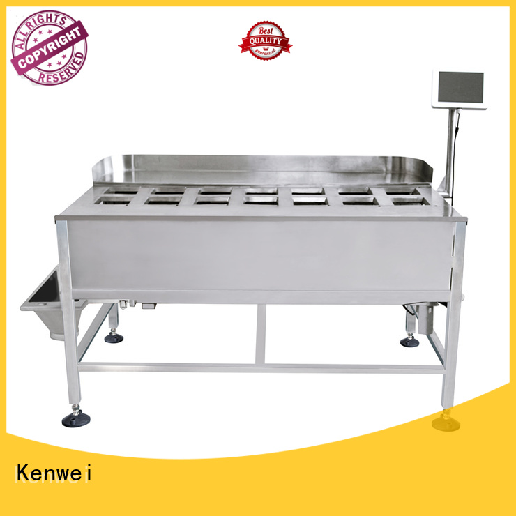 Машина для упаковки замороженных продуктов Kenwei, легко разбираемая для материалов с высокой вязкостью.