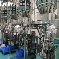 Multiple units of multihead weighers packing system