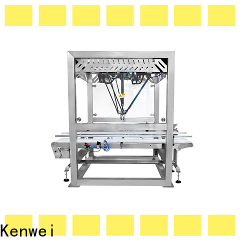 Kenwei packing robot wholesale